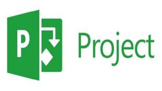 MS Project Professional Beginner to Expert