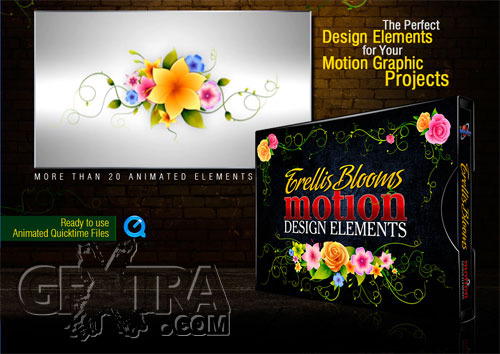 Digital Juice - Motion Design Elements: Trellis Blooms AE