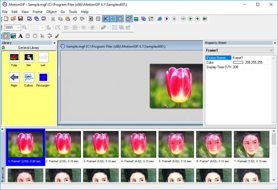 MotionGIF 4.1.341 MotionGIF 4.1.341