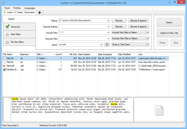 FileSeek Pro 6.4 Multilingual FileSeek Pro 6.4 Multilingual