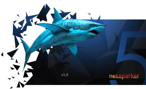 Netsparker Professional Edition 5.8.1.28119 Netsparker Professional Edition 5.8.1.28119