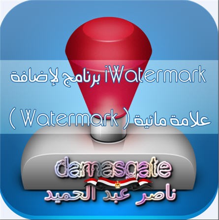 ByteScout Watermarking Pro 3.1.0.218 Multilingual